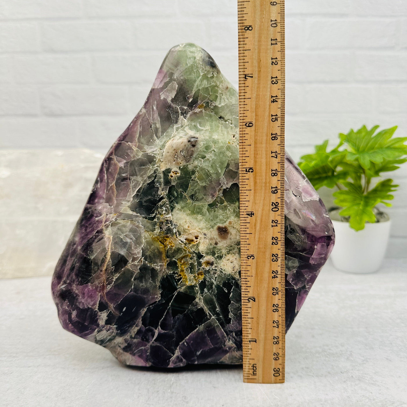 Large Tumbled Rainbow Fluorite Crystal next to a ruler for size reference 