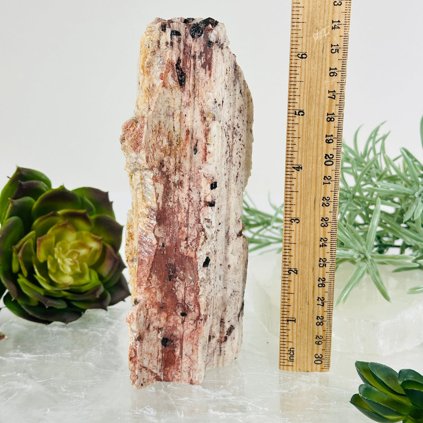 Black Tourmaline and Feldspar Rough Crystal Cut Base - One-of-a-Kind front view with ruler for size reference