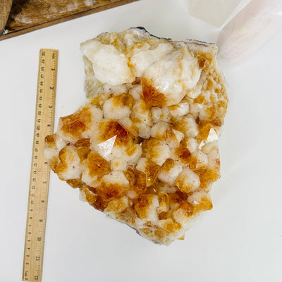 citrine cluster next to a ruler for size reference