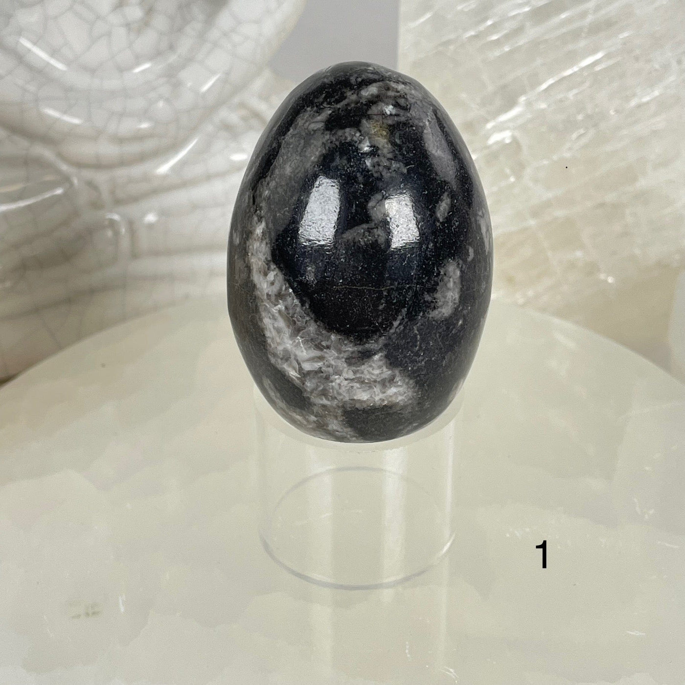 Orthoceras Polished Fossil Egg - You Choose #2 variant 1 labeled