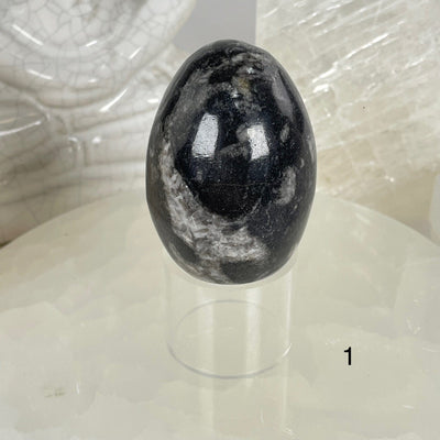 Orthoceras Polished Fossil Egg - You Choose #2 variant 1 labeled