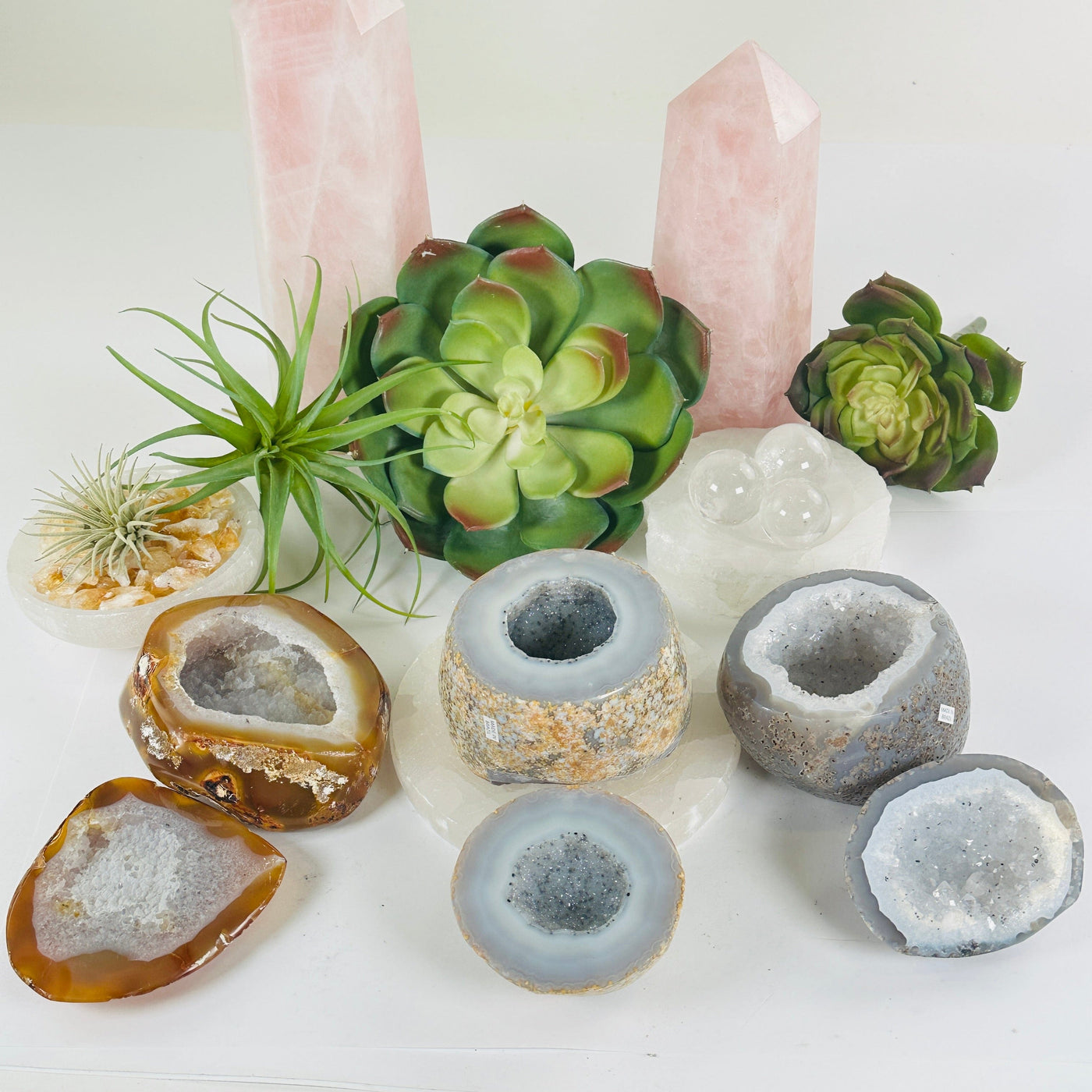 Agate Natural Geode Druzy Crystal Box with Lid - You Choose all variants with lids off with plants and props in the background