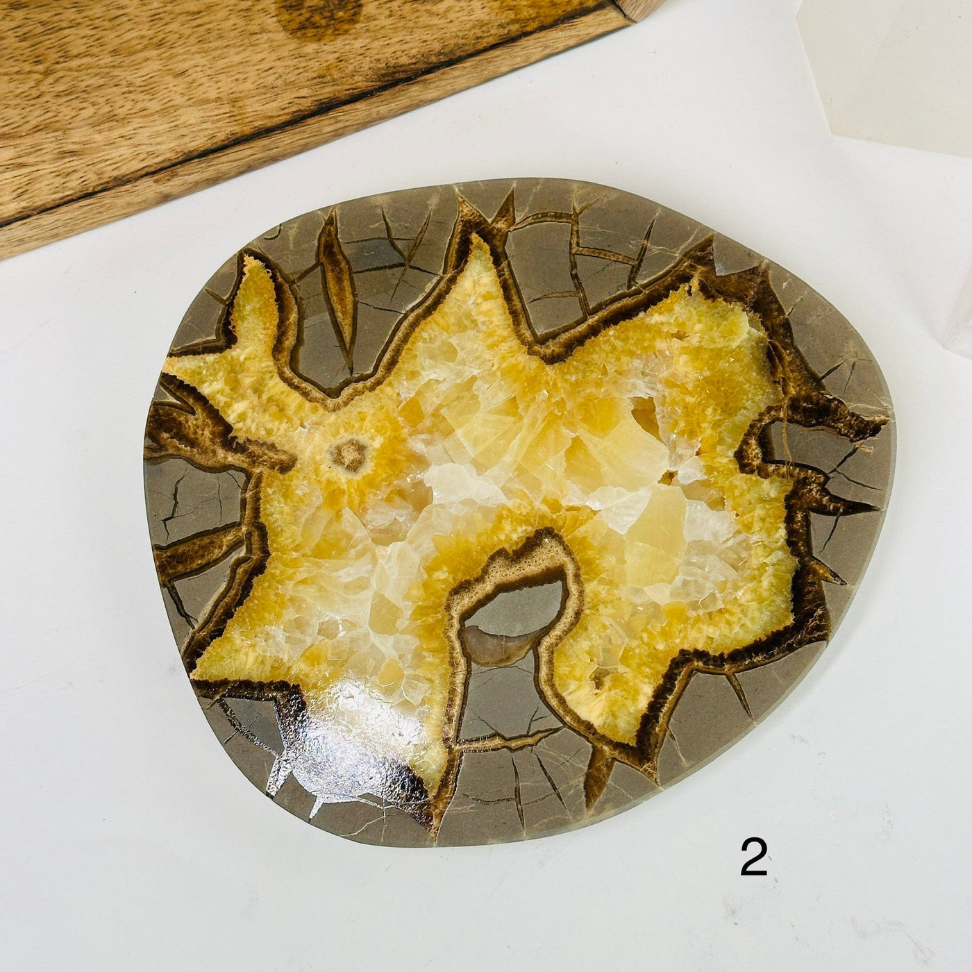 septarian slab with decorations in the background