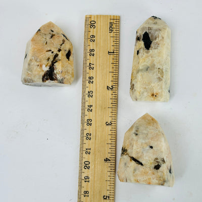 FELDSPAR POLISHED POINTS NEXT TO A RULER FOR SIZE REFERENCE