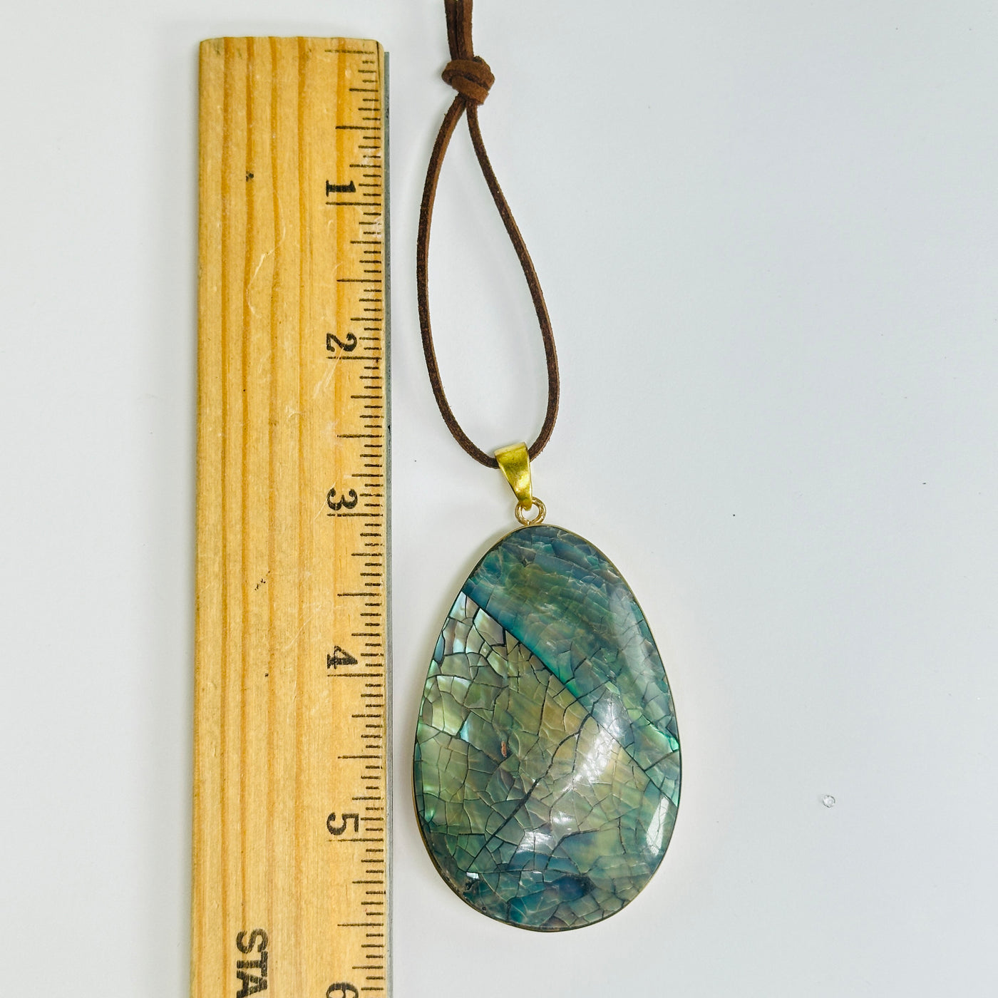 abalone ornament next to a ruler for size reference