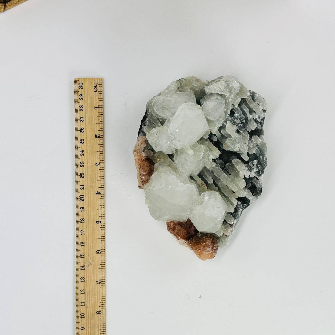 stilbite with apophyllite next to a ruler for size reference