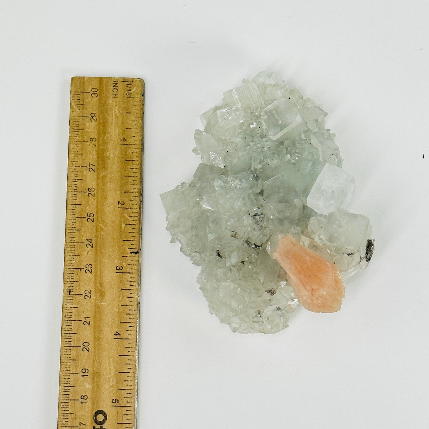 peach apophyllite with Stilbite next to a ruler for size reference