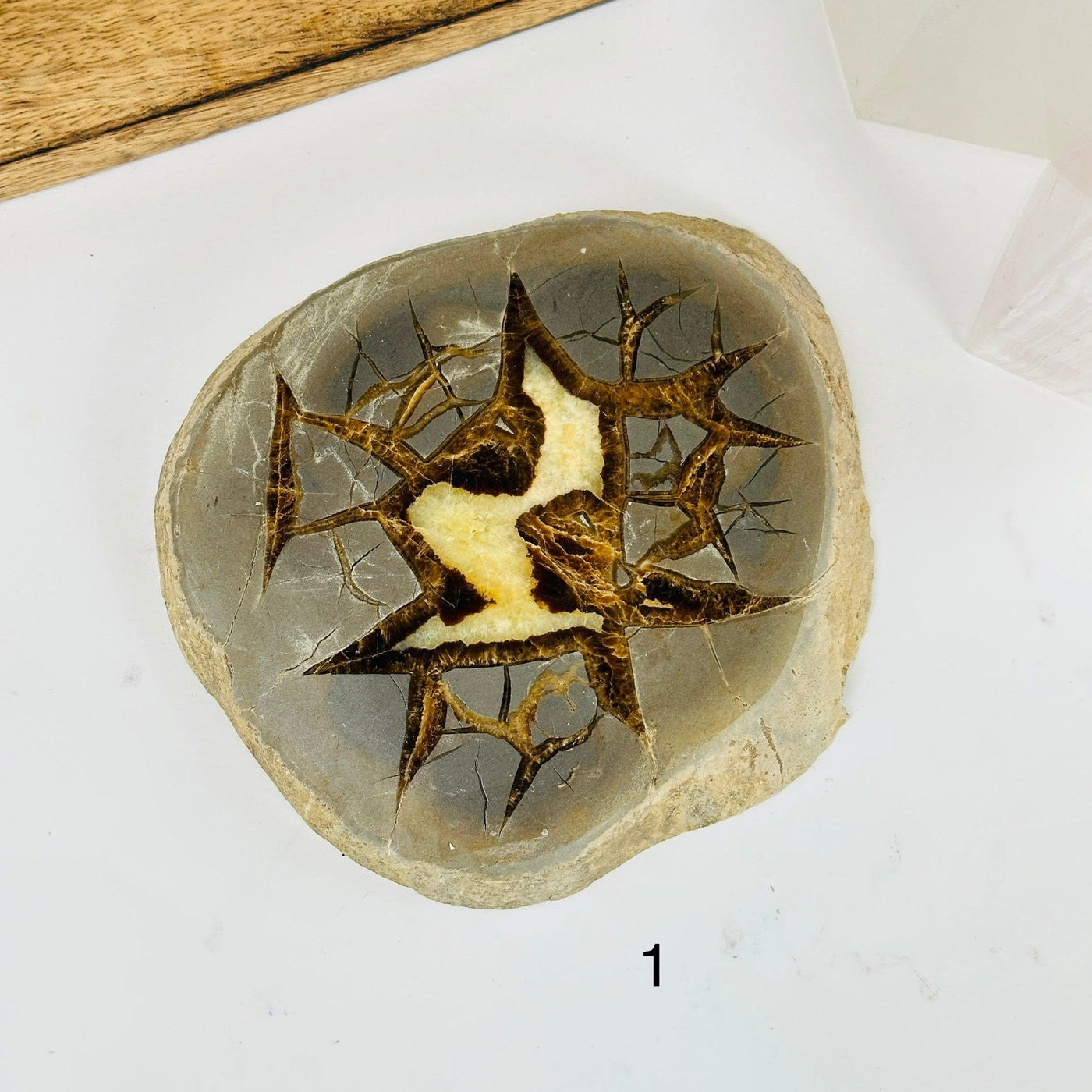 septarian slab with decorations in the background