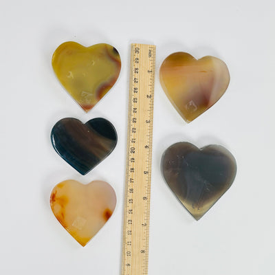 natural agate heart slices next to a ruler for size reference