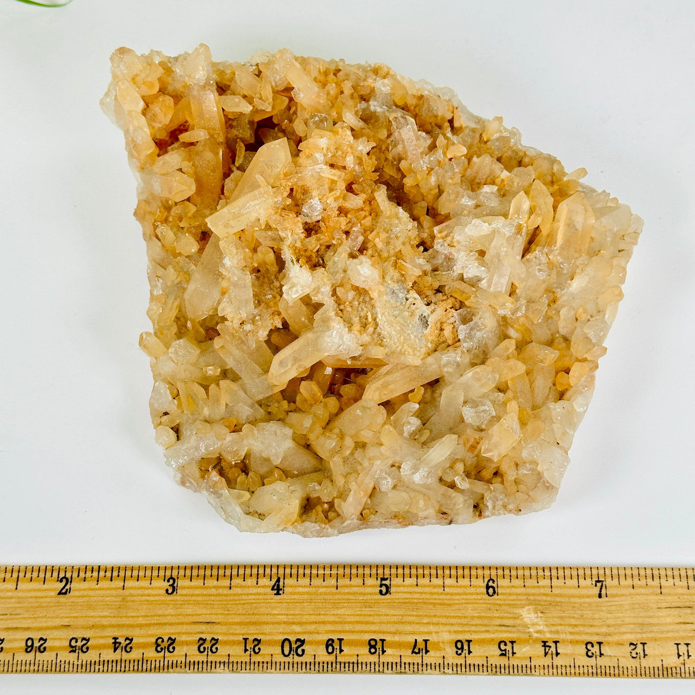 Tangerine Quartz Crystal Cluster - One of a Kind #3 top view with ruler for size reference