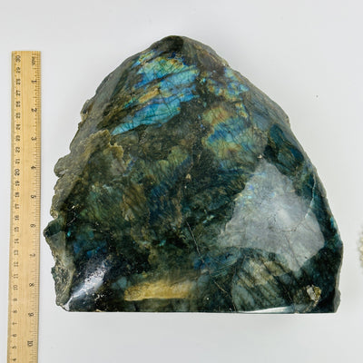 labradorite semi polished cut base next to a ruler for size reference