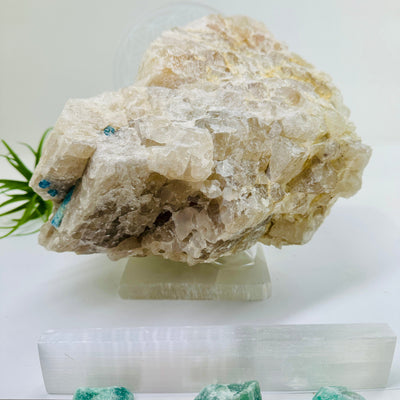 Aquamarine in matrix - extra large aquamarine crystal in natural rough stone side view