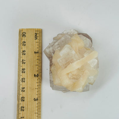 apophyllite next to a ruler for size reference