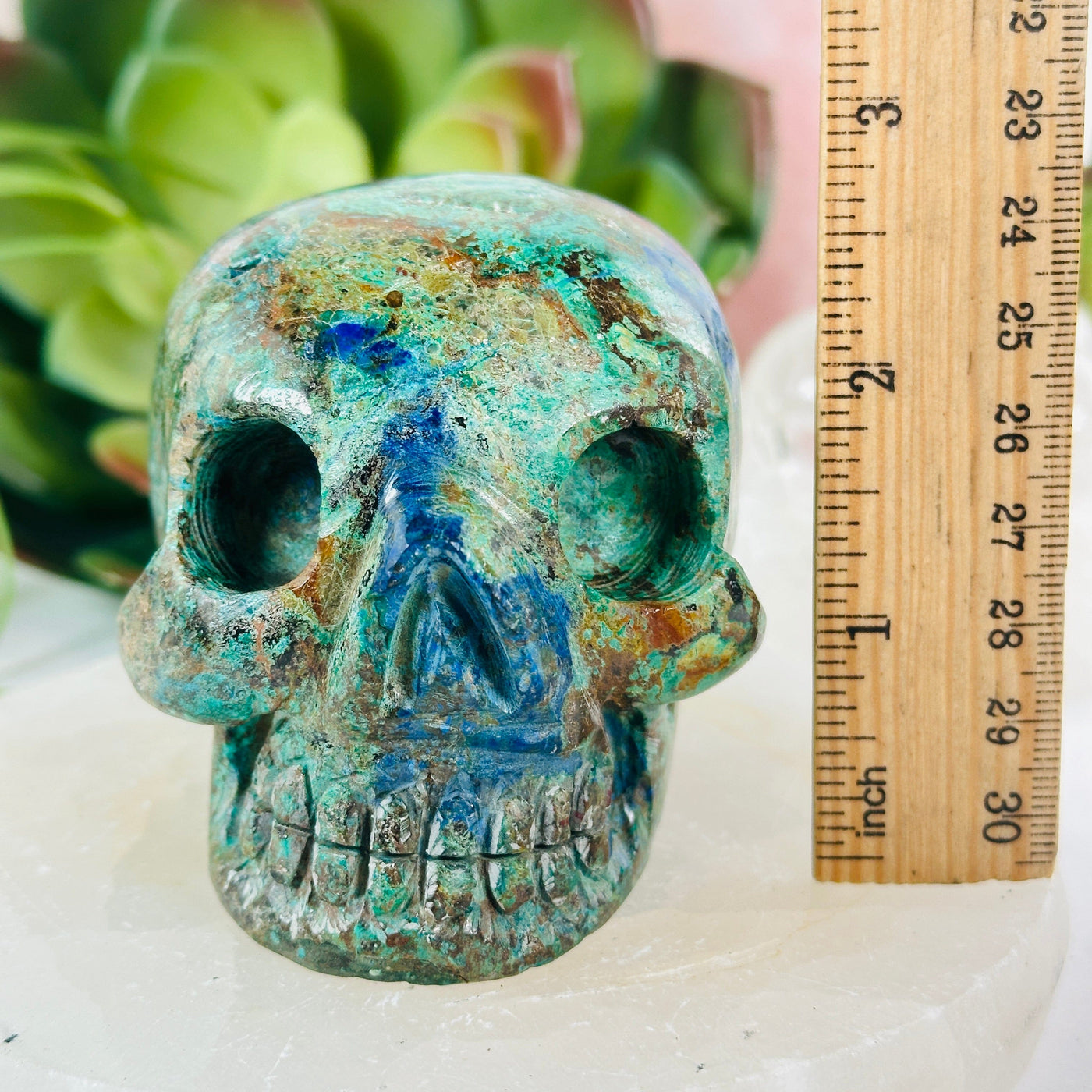 Azurite with Malachite Crystal Skull with ruler for size reference