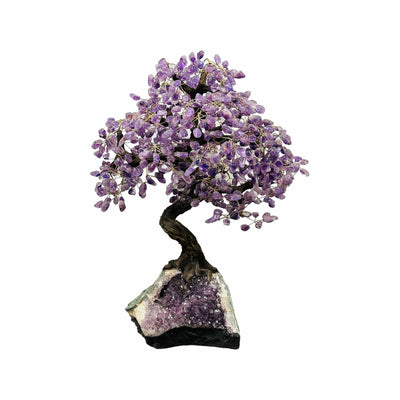 amethyst tree on amethyst stand on white background