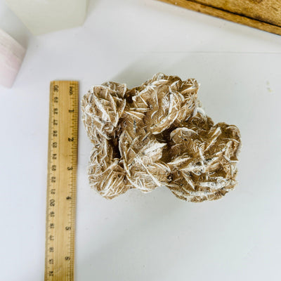 desert rose with decorations in the background