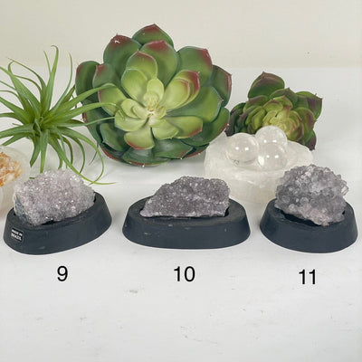Amethyst Pine Crystal Cluster on Wooden Base from Uruguay - You Choose #4 variants 9, 10, and 11 labeled