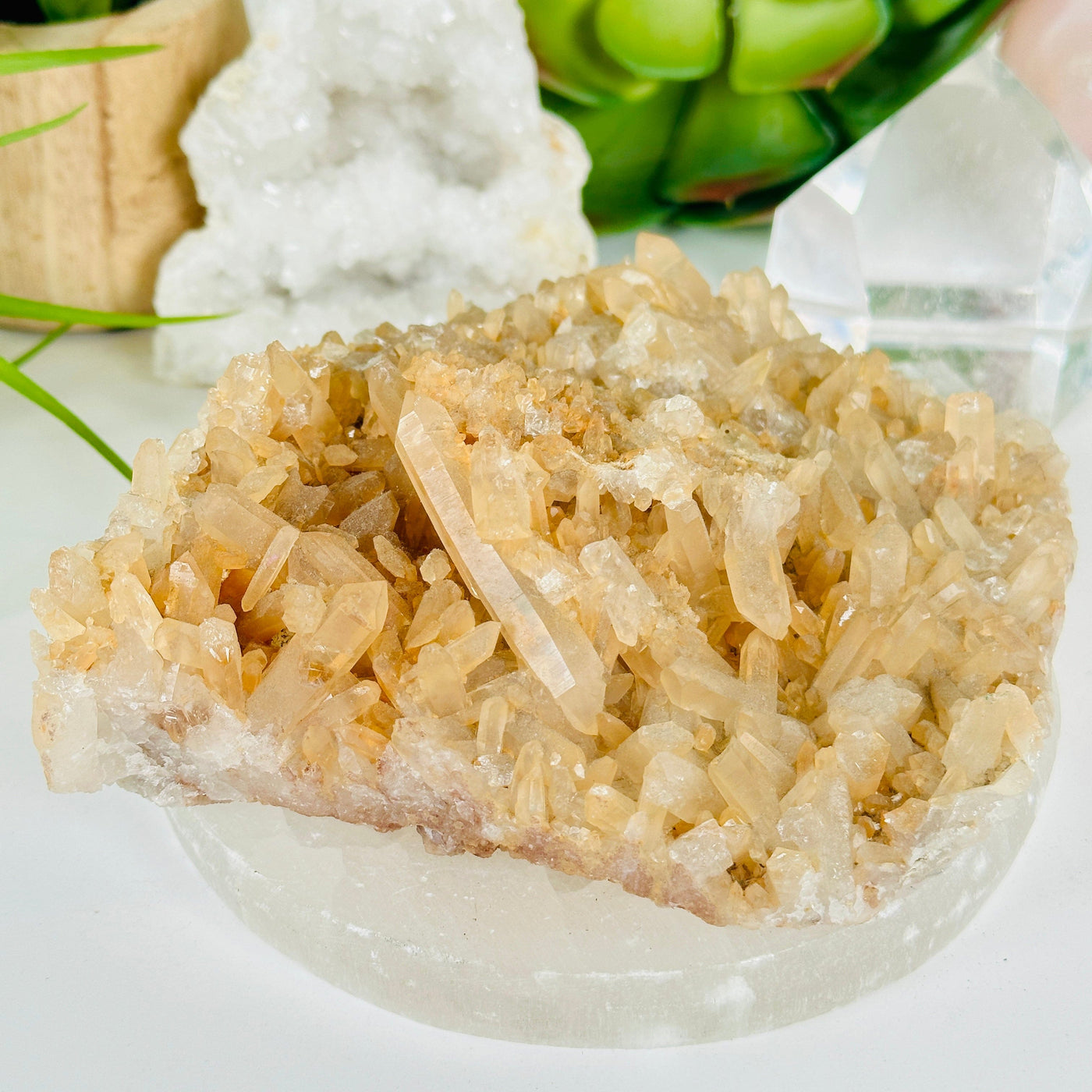 Tangerine Quartz Crystal Cluster - One of a Kind #3 back view