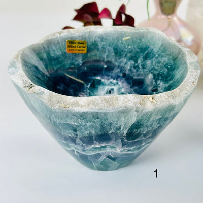Fluorite Semi Polished Crystal Bowl with Rough Rim - You Choose variant 1 labeled