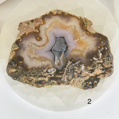 Scenic Moss Agate Crystal Slice - You Choose variant 2 labeled