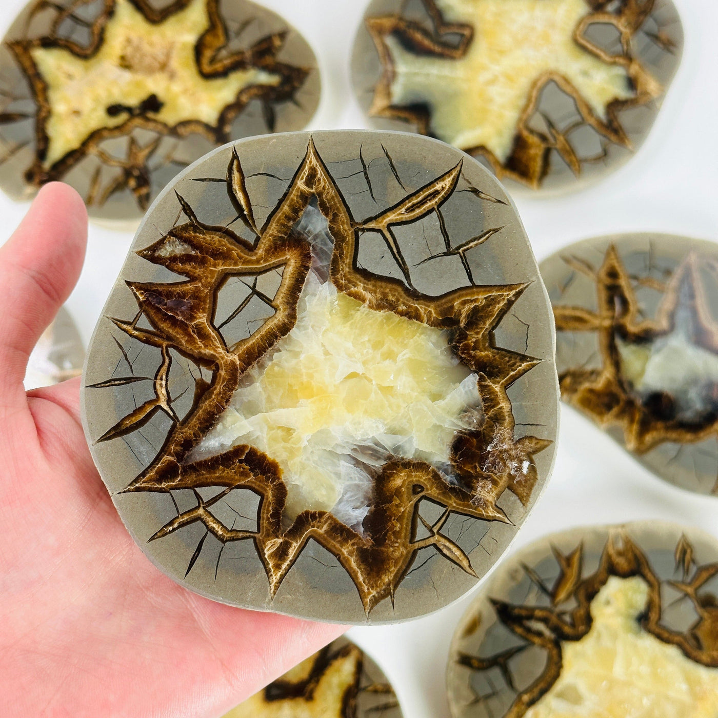 Septarian platter with decorations in the background