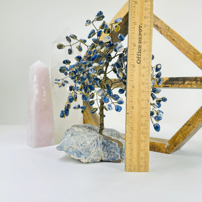 sodalite tree next to a ruler for size reference
