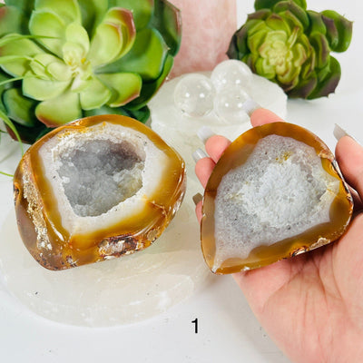 Agate Natural Geode Druzy Crystal Box with Lid - You Choose variant 1 labeled with hand for size reference