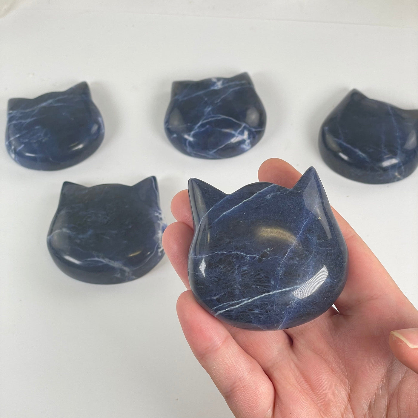 Sodalite Polished Crystal Cat Head - You Choose one in hand for size reference with others in the background