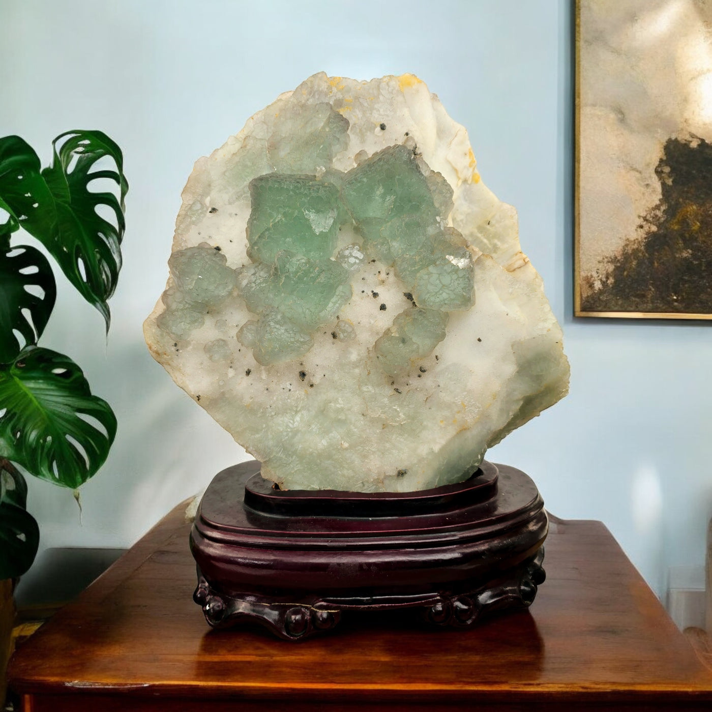 Large Cubic Fluorite Crystals on Matrix with Wooden Stand - Rare Find on wooden table with plants and props in the background