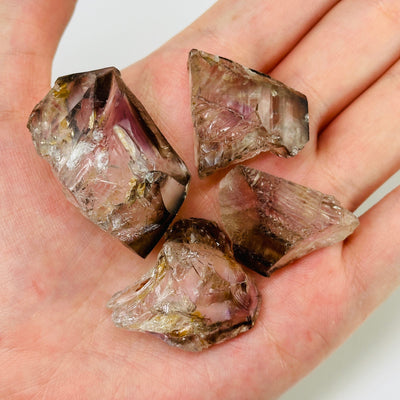 alligator quartz with decorations in the background