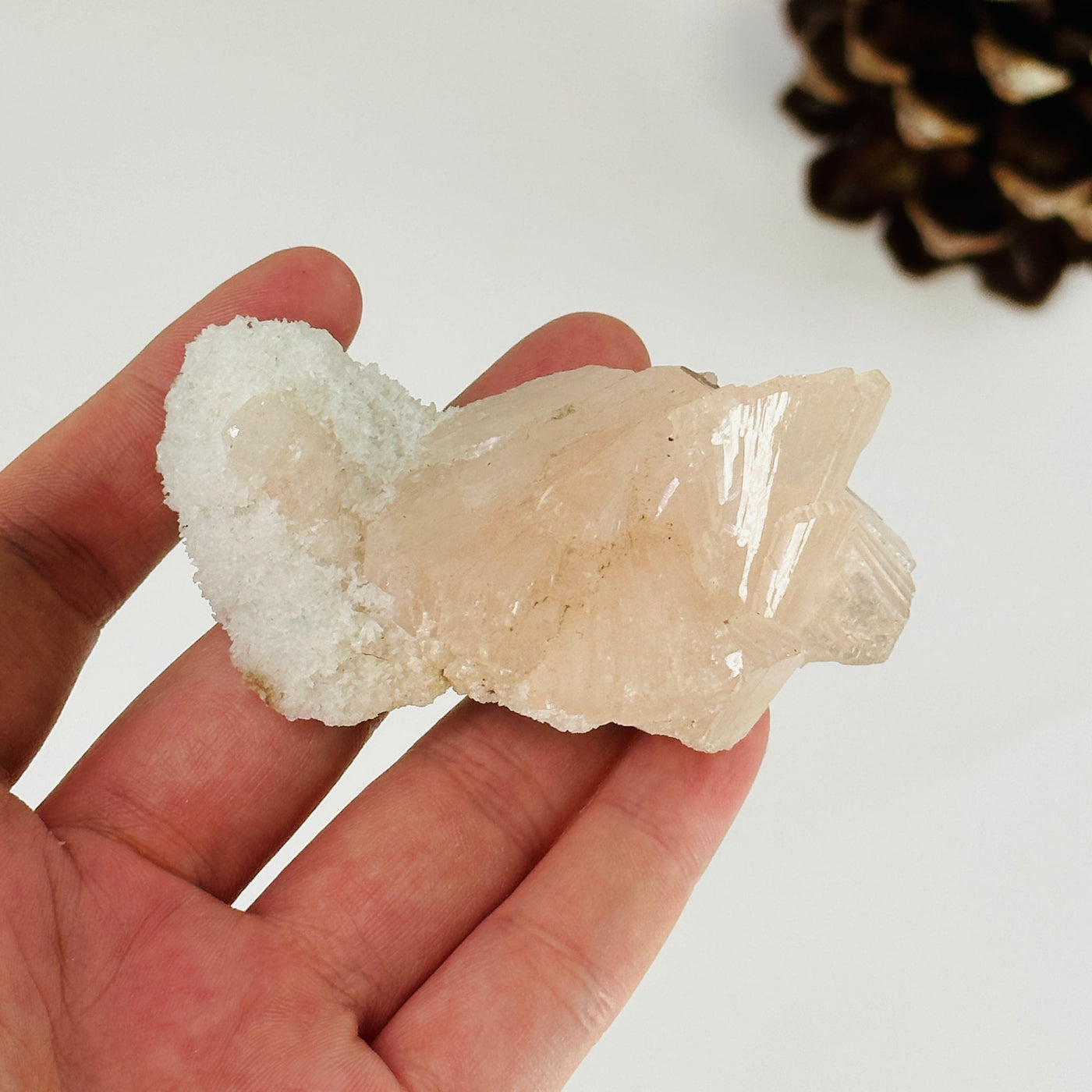 hand holding up peach apophyllite cluster with decorations in the background