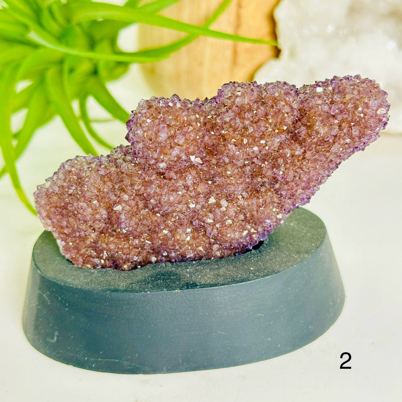 Amethyst Pine Crystal Cluster on Wooden Base from Uruguay - You Choose #3 variant 2 labeled