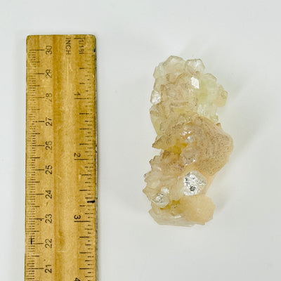 apophyllite with stilbite next to a ruler for size reference
