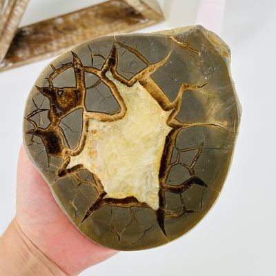 hand holding up septarian slab with decorations in the background
