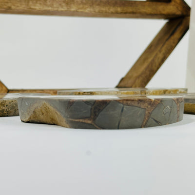 Side view of septarian platter