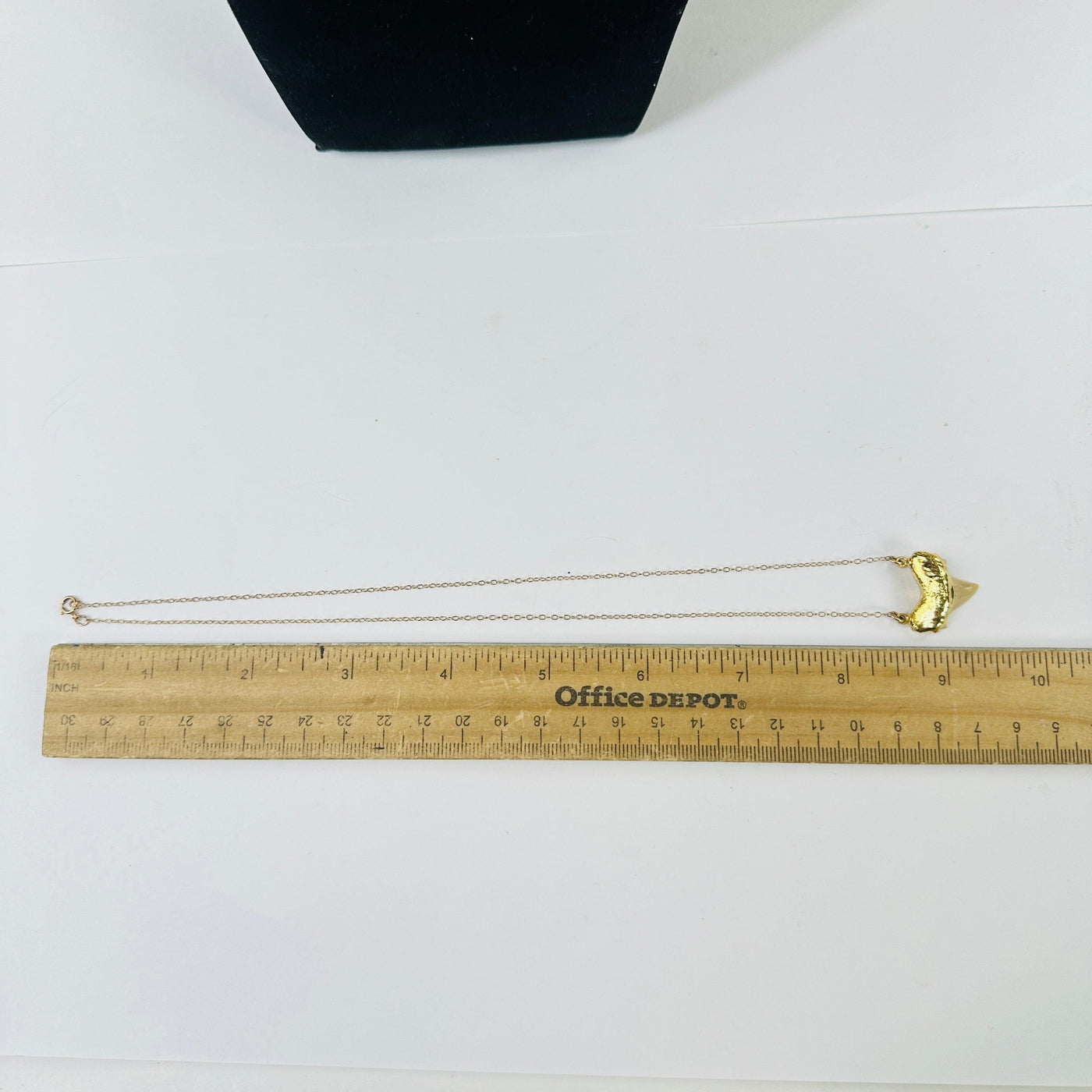 shark tooth necklace next to a ruler for size reference