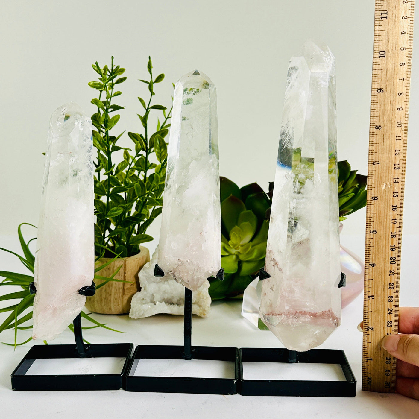 Crystal Quartz Point with Phantoms on Stand - You Choose #2 all variants with ruler in hand for size reference