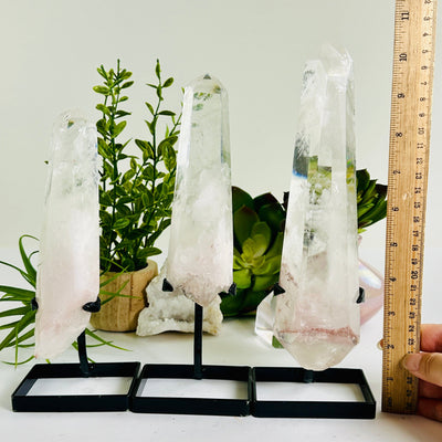 Crystal Quartz Point with Phantoms on Stand - You Choose #2 all variants with ruler in hand for size reference