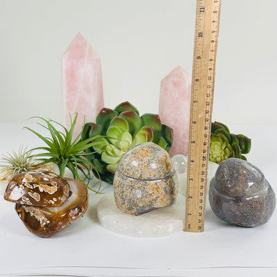 Agate Natural Geode Druzy Crystal Box with Lid - You Choose all variants with ruler for size reference