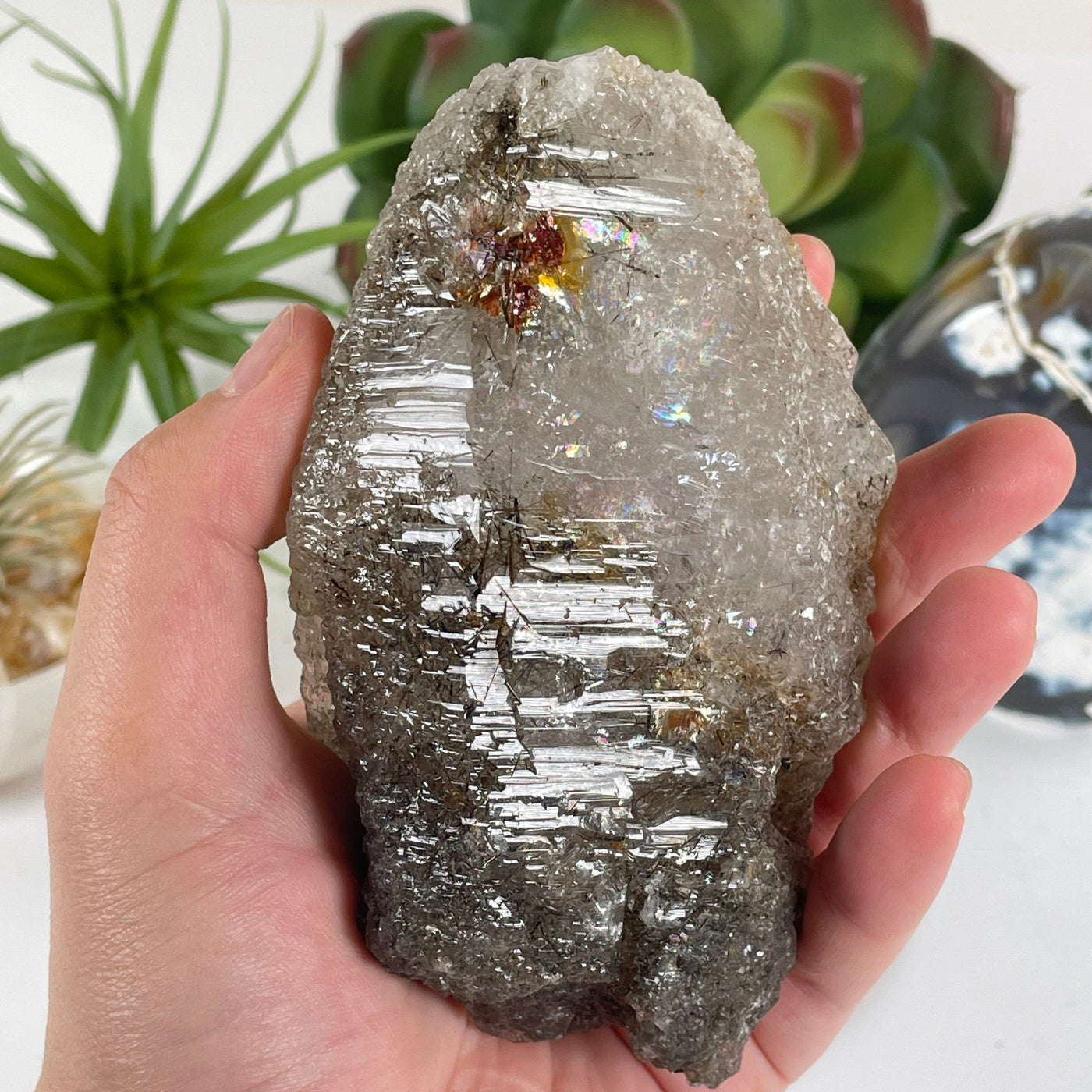 Elestial Alligator Fibrous Smokey Quartz Crystal with Rutile HIGH QUALITY #4 in hand for size reference