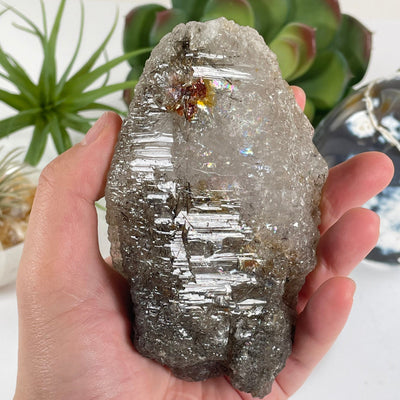 Elestial Alligator Fibrous Smokey Quartz Crystal with Rutile HIGH QUALITY #4 in hand for size reference