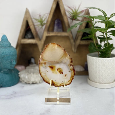 Natural Agate Crystal Slice YOU CHOOSE