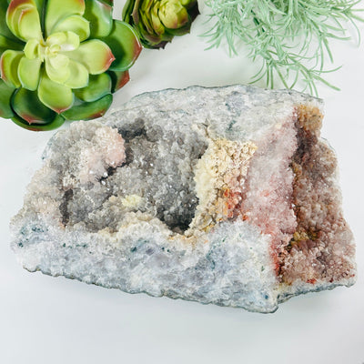 Gray Amethyst Large Crystal Cluster with Hematite and Calcite - One-of-a-Kind front view with plants in the background