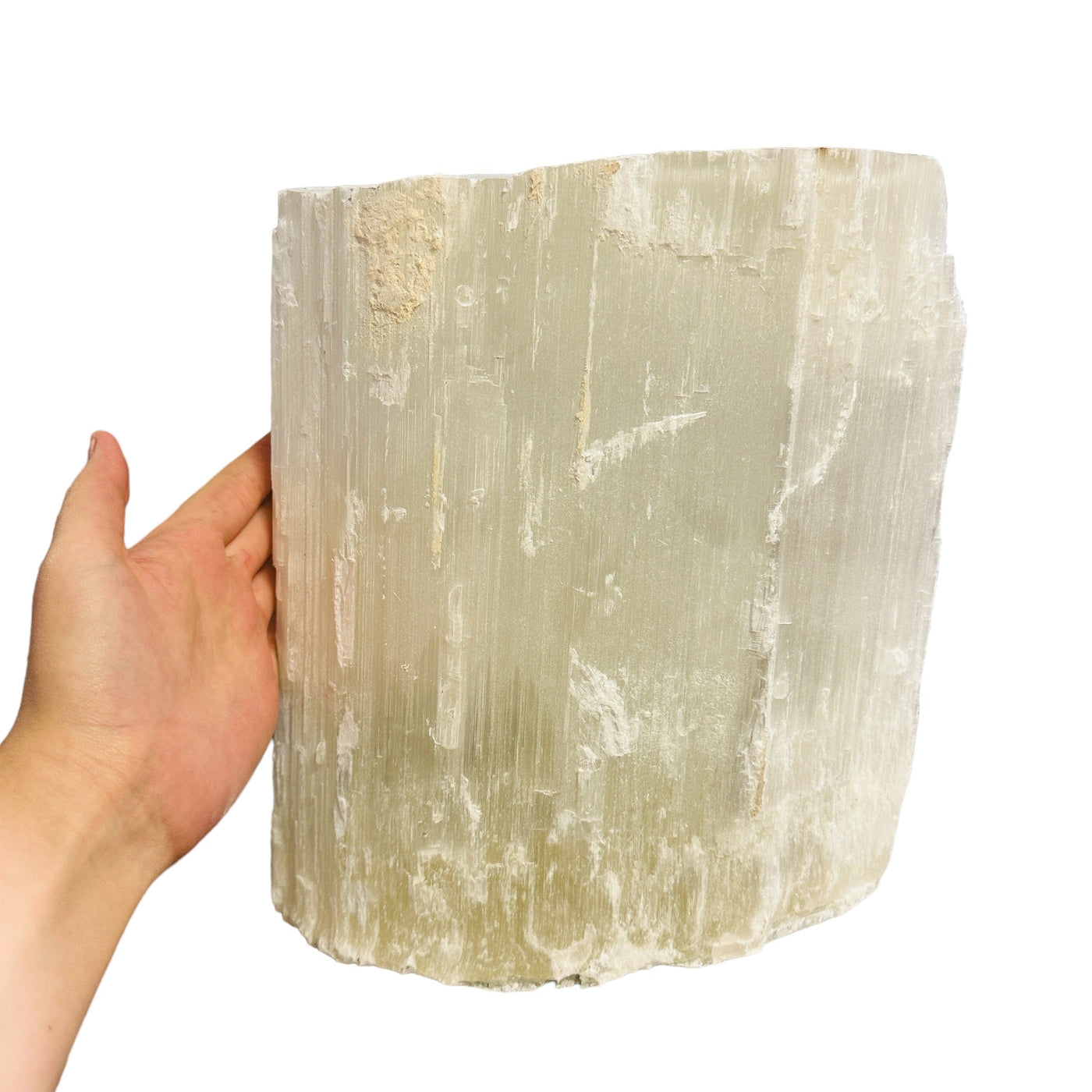 selenite log on white background