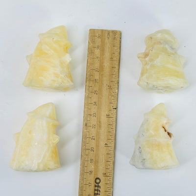 CALCITE GHOST next to a ruler for size reference