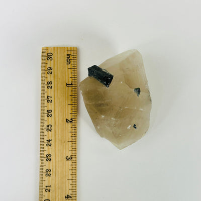 tourmaline on matrix next to a ruler for size reference