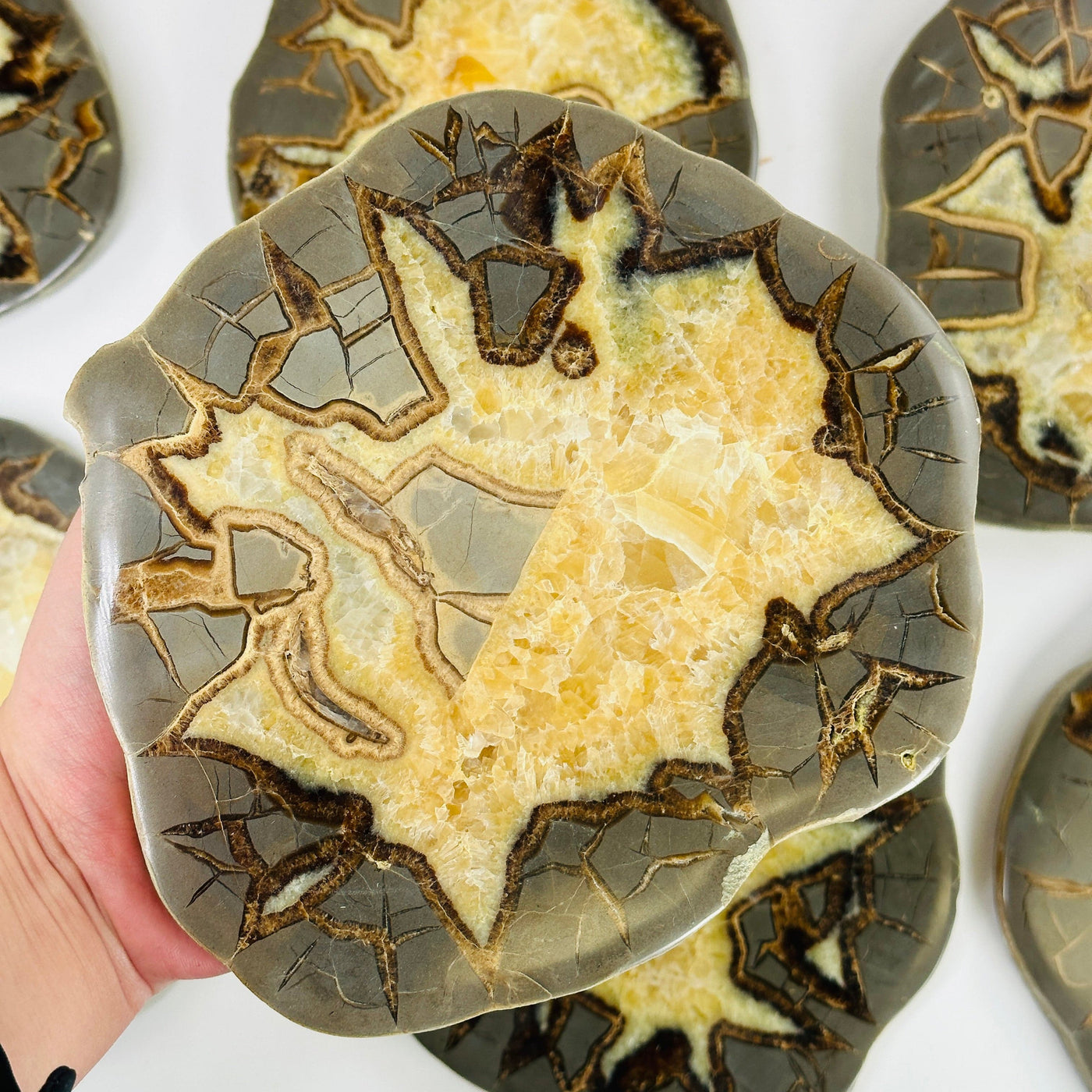 septarian coaster with decorations in the background