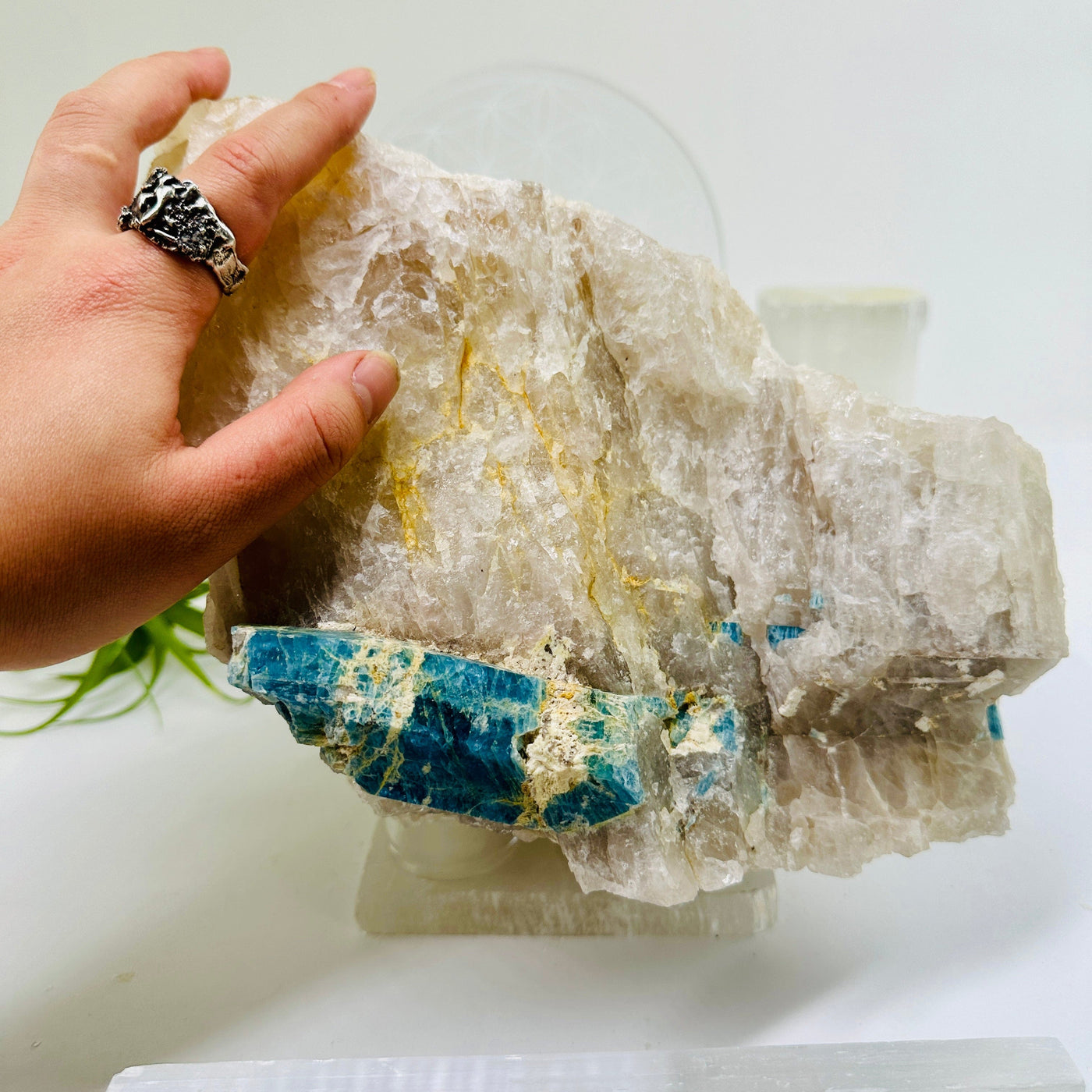 Aquamarine in matrix - extra large aquamarine crystal in natural rough stone with hand for size reference