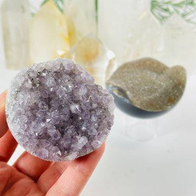 Agate Amethyst Druzy Hemisphere from Uruguay - Crystal Half Sphere - You Choose variant 1 in hand for size reference with other variant in background with props and plants