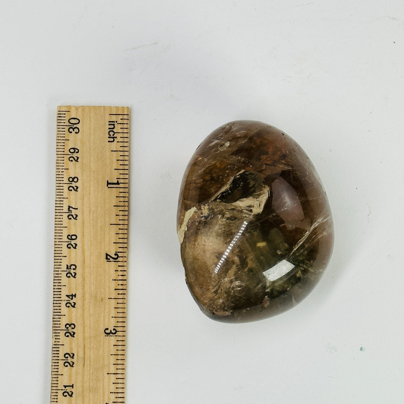 polished smokey quartz next to a ruler for size reference